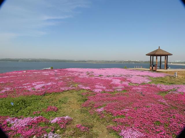 汤河湿地公园图片