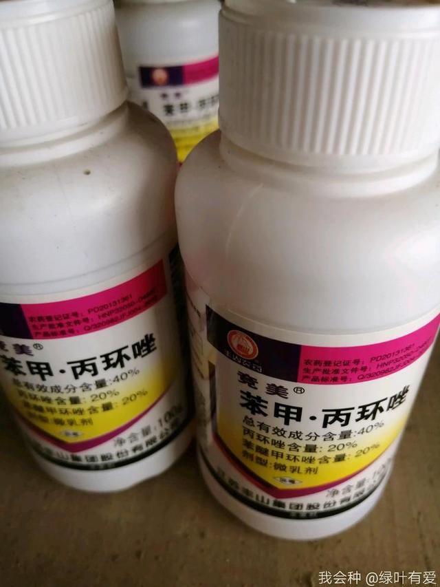 水稻患上纹枯病减产50%？农户告诉你：做到这5点轻松防治7