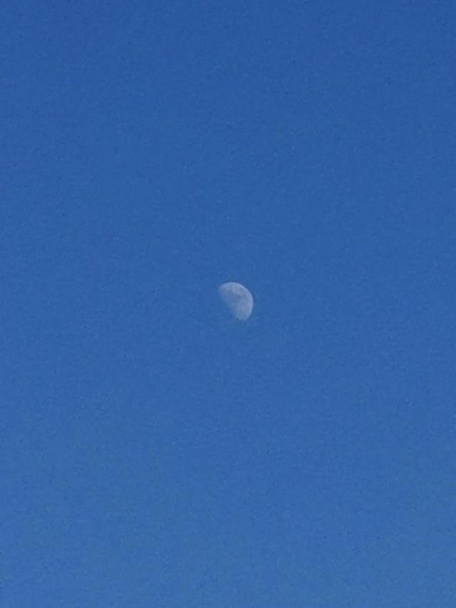 强大的头条网友们，大白天出现在天空的这个星球是不是月亮孩子问