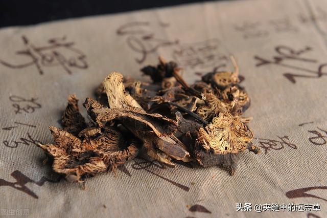 痛风，关节红肿热痛？一张方子，帮你统统搞定