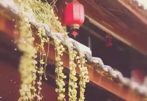 晚安说说语句190110：不真诚的感情比寂寞更可怕