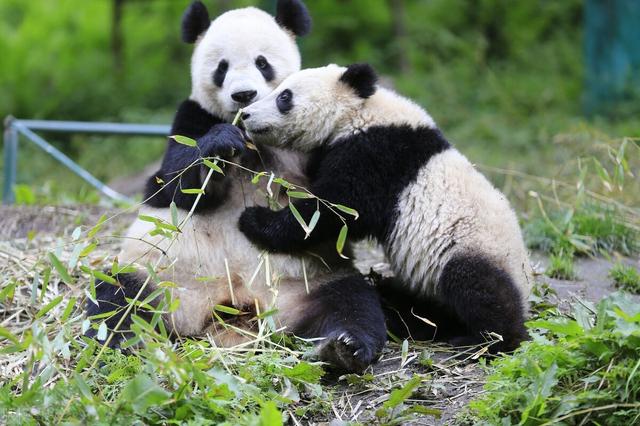 国家级风景名胜区名单