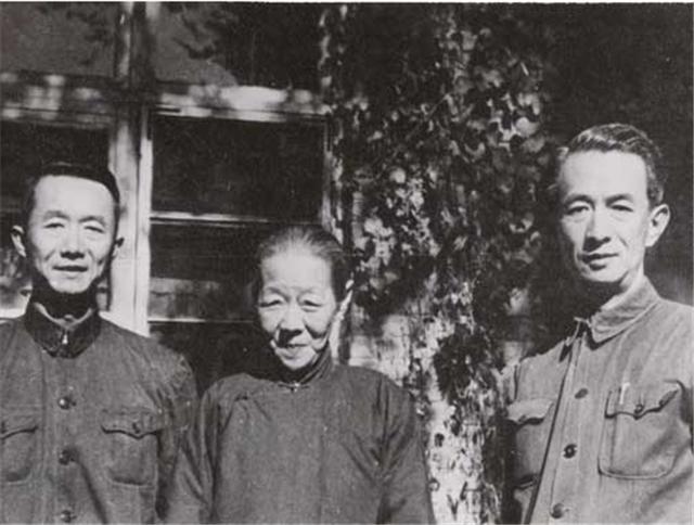 小凤仙的故事:小凤仙：祭奠会上她一袭黑纱送上挽联，却被蔡锷后人讽刺自作多情