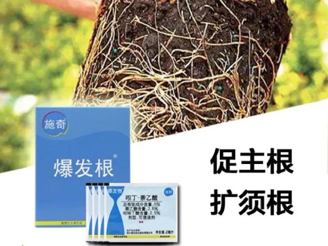 土里撒点杀虫药，虫子全死光，用了你就知道16