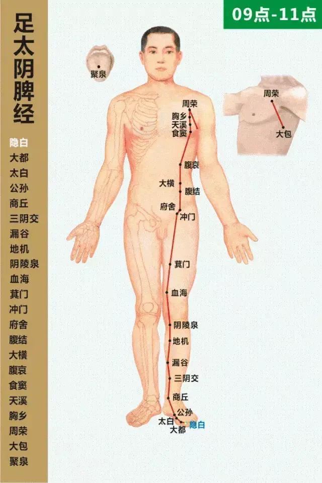 中医专家奉献人体24小时使用手册，教您按“时”养生！值得收藏