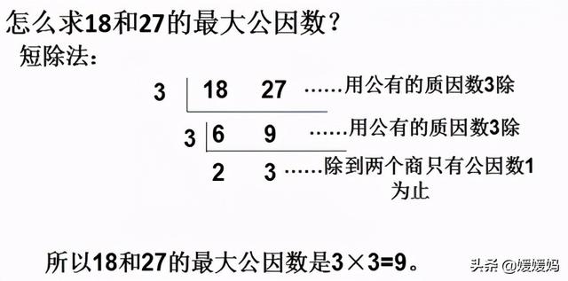 互质数是什么