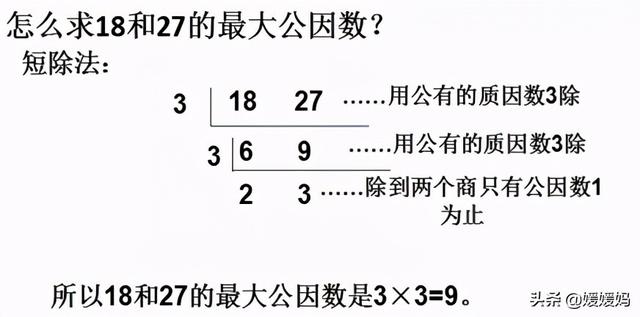 互质数是什么 互质数是什么（互质数是什么意思举个例子） 生活