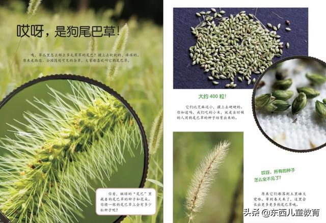 重视这一类阅读，孩子的阅读就有底气了