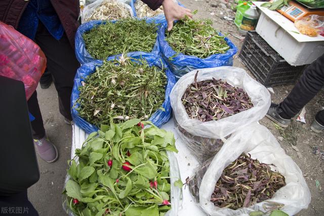 中老年人常吃这四类食材，或对身体有好处，看看有适合你的吗？