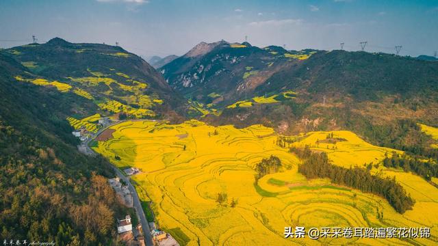 云南罗平油菜花