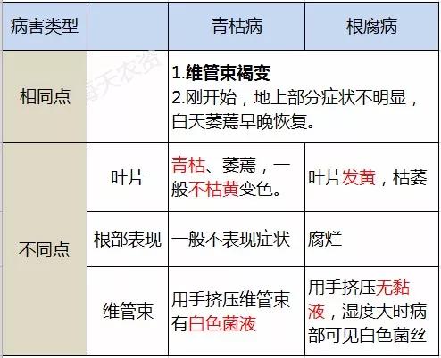 根部病害一定要看，看完就知道你遇到的是不是了8