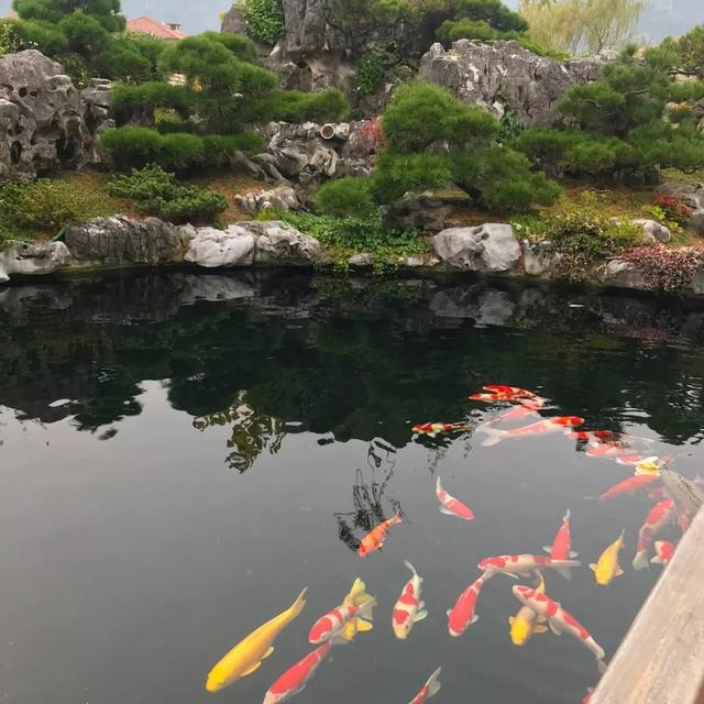 鱼池转筒过滤机