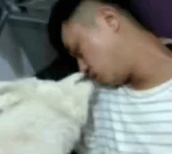 搞笑的动图GIF：优秀的隔壁老王，应该掌握的技巧