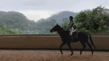 美女的内涵动图GIF：这骑马的动作标准吗？