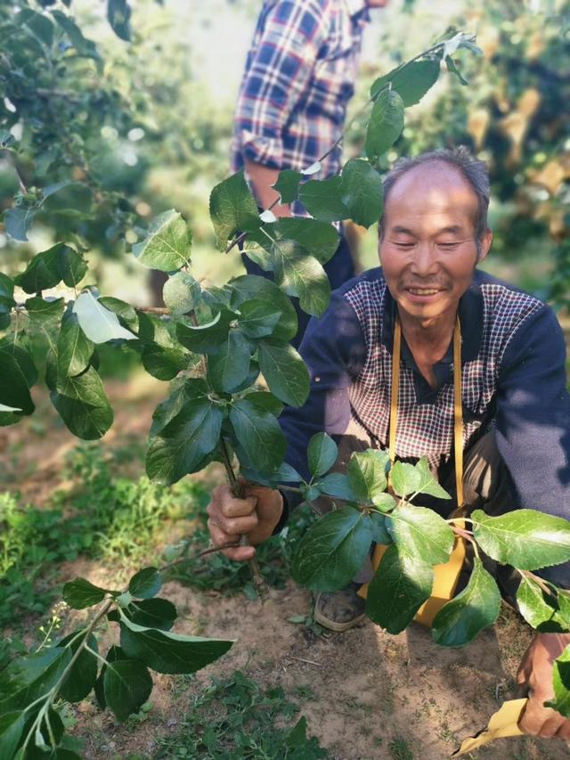 五月份果园除草对不对？专家告诉你这是火上浇油！