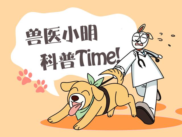 哈士奇饲养方法及技巧（新手养二哈要注意事项）