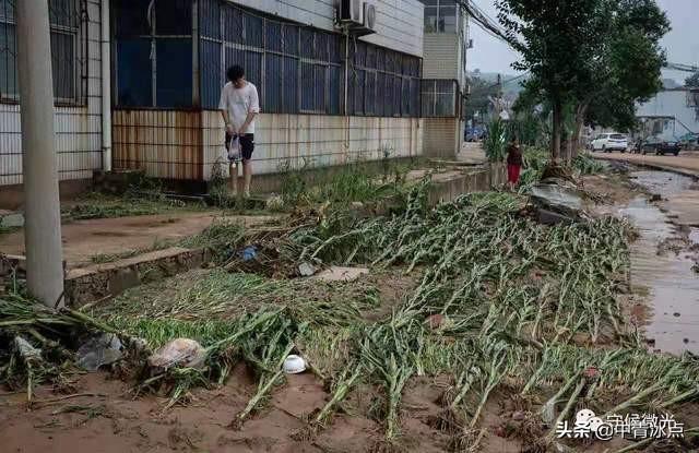 濮阳石子制砂机厂家的简单介绍