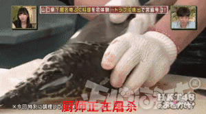 有意思的美女动图：想跟妹子一起飞！