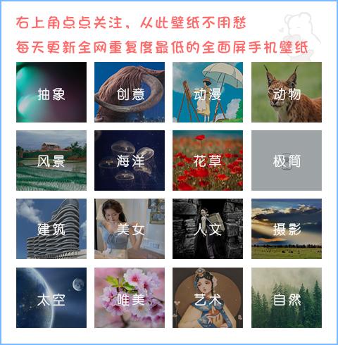全面屏壁紙 清新潔白的雛菊 Kks資訊網
