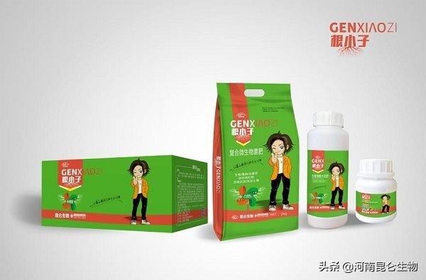 白菜烂根是怎么回事？秋白菜烂根怎么办？白菜增产施肥如何做2