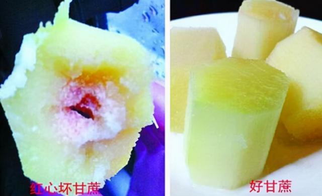 生活中，这些东西不能吃，有剧毒