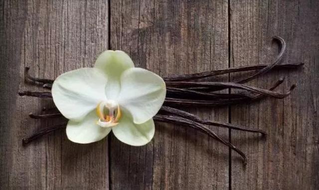 婴儿奶粉里的香兰素，一次说透