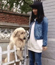 搞笑的动图图片：我都给你按摩了，放我出去玩会儿！