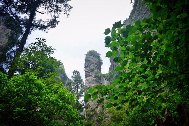 雁荡山在哪里