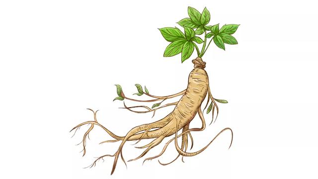 是药三分毒，滥用中药有风险