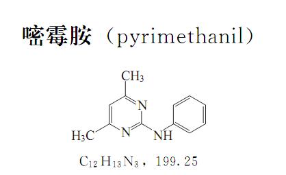 如何防治大棚蔬菜灰霉病？用40%嘧霉胺悬浮剂1000~1500倍液全喷洒