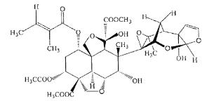 杨梅落果腐烂？当心果蝇爆发！这样用食诱剂、生物药剂，几天采收6