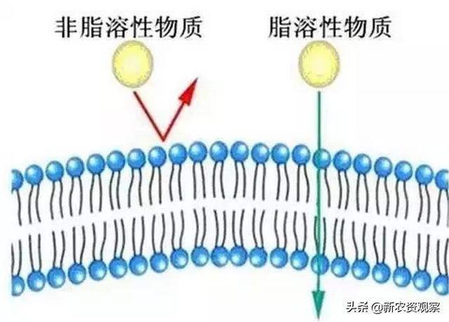 「收藏」起底三唑类杀菌剂3