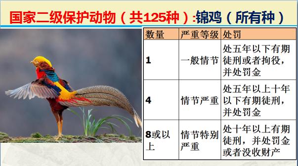 国家二级保护动物