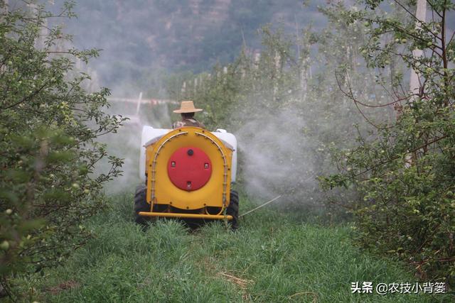 果园内常用的7种除草方法和2种生草方法，你认为哪种效果好？4