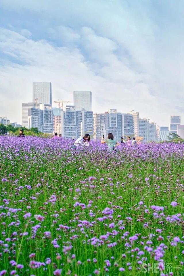 深圳旅游景区