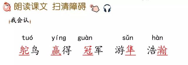 置之不理的置什么意思 置之不理的置什么意思（置之不理的理什么意思） 生活