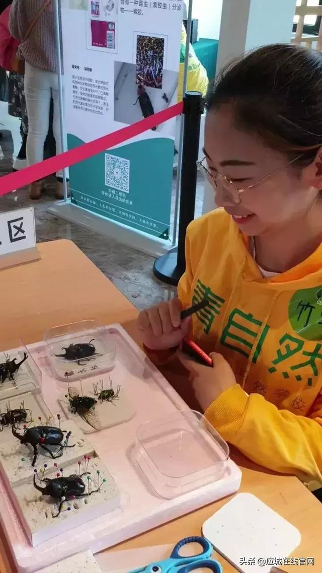 应城机械展