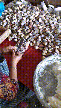 搞笑动态图图片：作为单身狗，养什么鱼？养什么鱼？