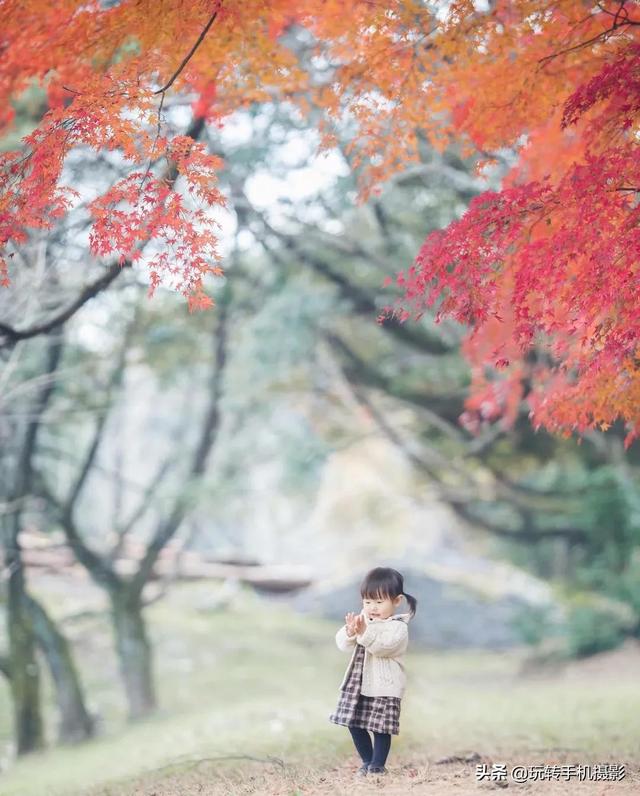 有个会拍照的爸爸，每张照都美如画