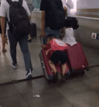 搞笑的动态图片：这女朋友，还能要吗？