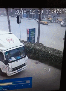 爆笑的动态图片：下跪也没用，狗肉今天是吃定了