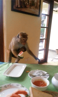 幽默的动态图片GIF：这舞是不是要火，太沙雕了