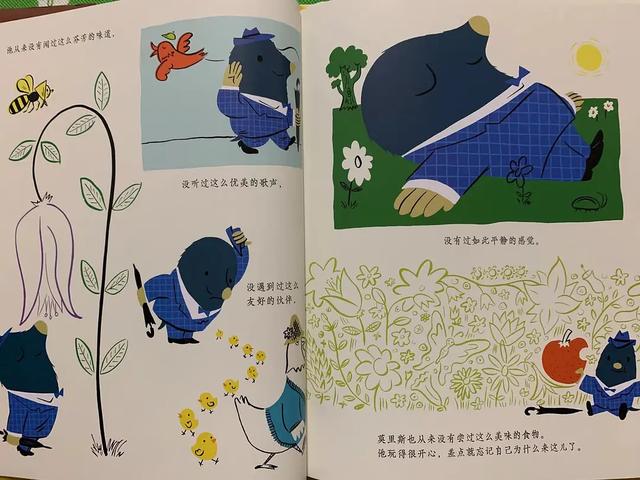 《鼹鼠莫里斯》：别看我人小但我能干大事，用心呵护孩子的想象力