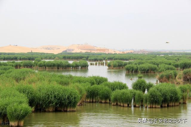 宁夏旅游景点介绍