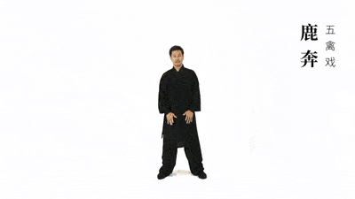 养生气功五禽戏教学（仙家秘传五禽戏：健康长寿）