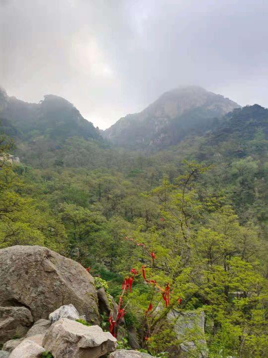 东岳泰山的特点