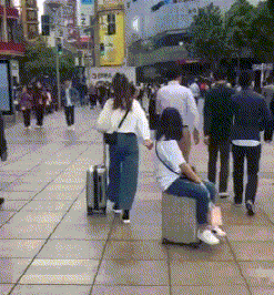 搞笑动图GIF：怪不得榴莲这么贵，每摘一个就要牺牲一个采摘员