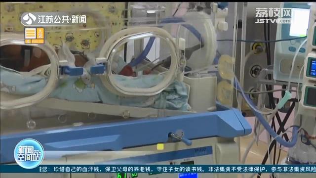 仅成人手掌大小，只有743克的江苏江阴最小体重超早产儿成功获救
