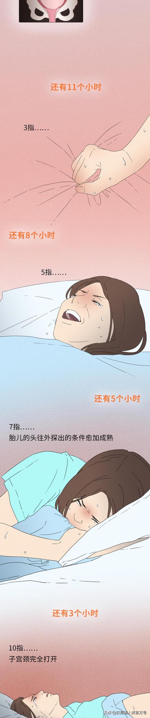 你出生前的24小时，都经历了什么？