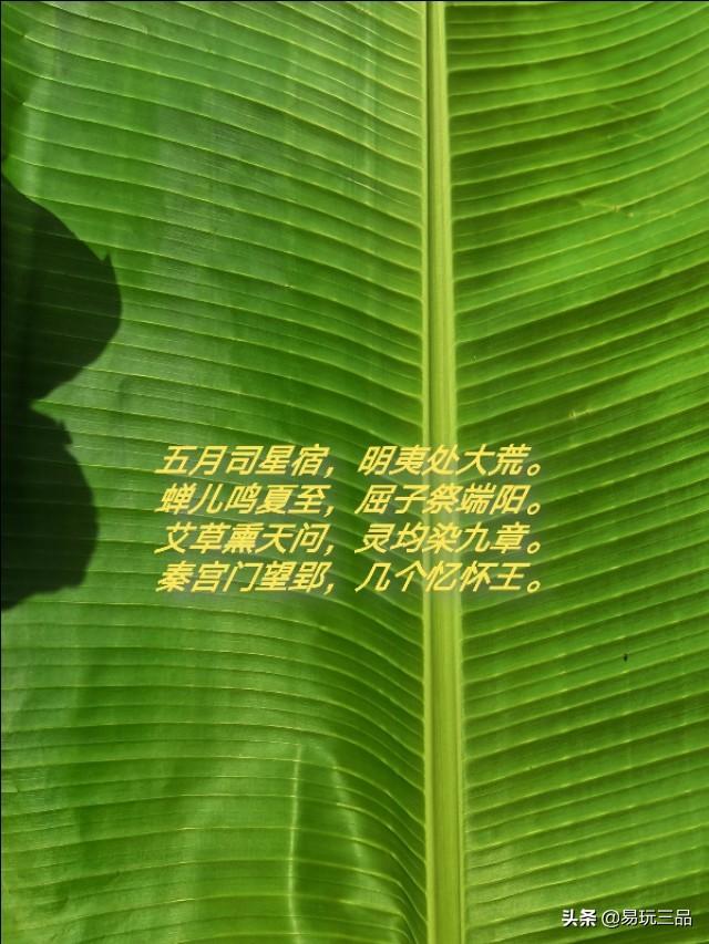 屈原庚子咏祭全文（屈原庚子咏怀祭全文）